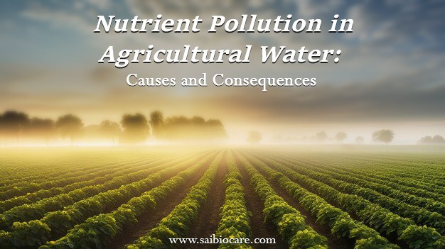 Nutrient Pollution In Agricultural Water: Causes and Consequences