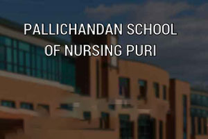 Pallichandan College Of Nursing
