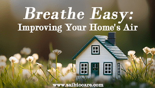 Indoor Air Pollution: Recognize Hidden Hazards and Improve Your Living Space