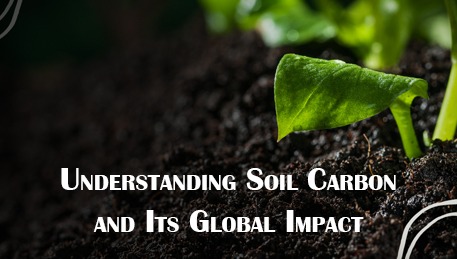 Understanding Soil Carbon and Its Global Impact