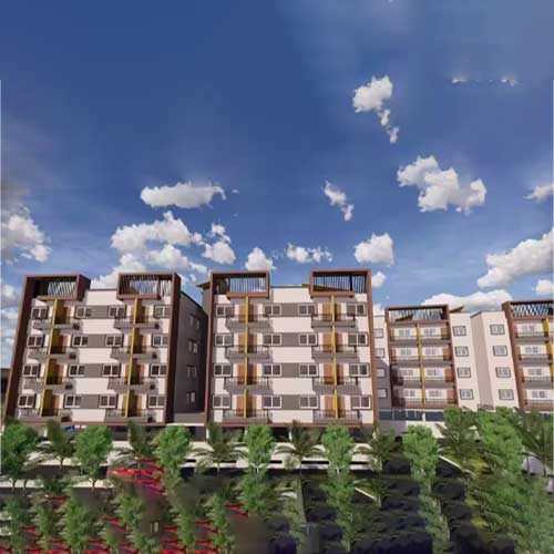 Liasioning-Projects-Img