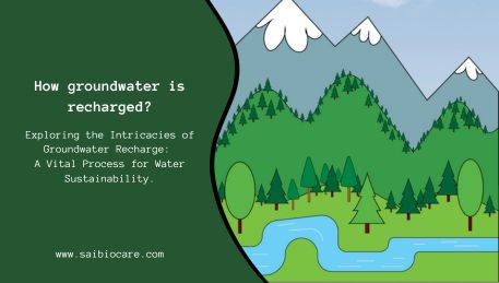 How is groundwater recharged? Exploring the Intricacies of a Vital Process for Water Sustainability.