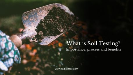 What is Soil Testing: Importance, process and benefits