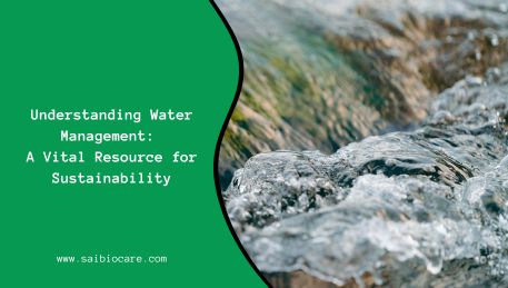 Understanding Water Management: A Vital Resource for Sustainability